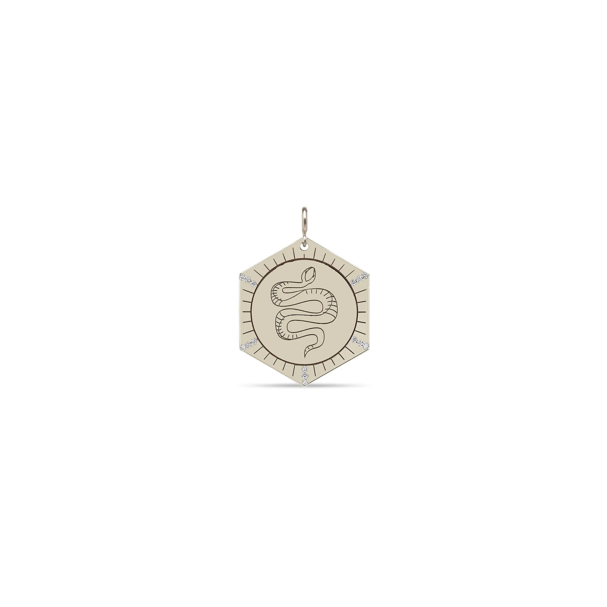 14k Single Animal with Diamond Rays Hexagon Medallion Charm Pendant