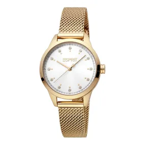 Esprit Stainless Steel Analog Women's Watch ES1L259M1085